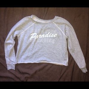 American Eagle Gray Long-sleeve Crop Top